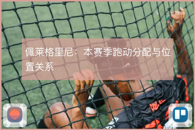 佩莱格里尼：本赛季跑动分配与位置关系