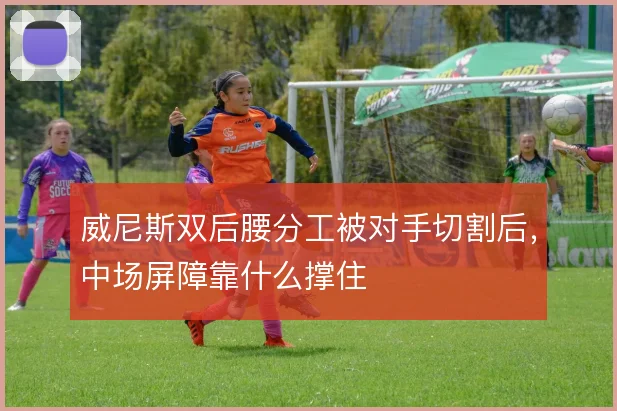 威尼斯双后腰分工被对手切割后，中场屏障靠什么撑住
