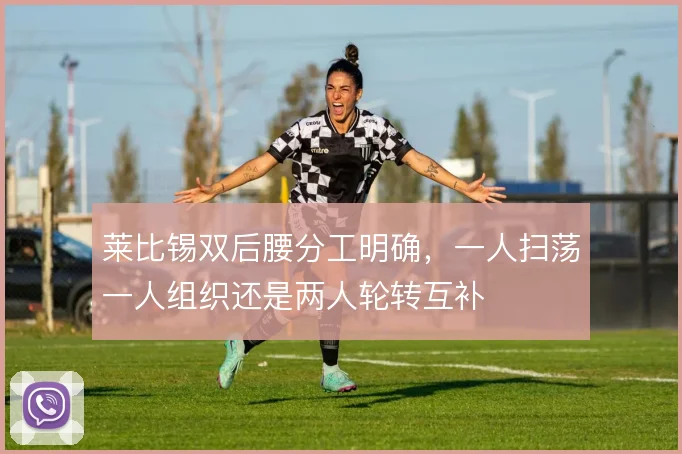 莱比锡双后腰分工明确，一人扫荡一人组织还是两人轮转互补