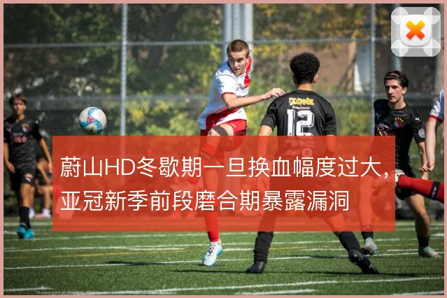 蔚山HD冬歇期一旦换血幅度过大，亚冠新季前段磨合期暴露漏洞