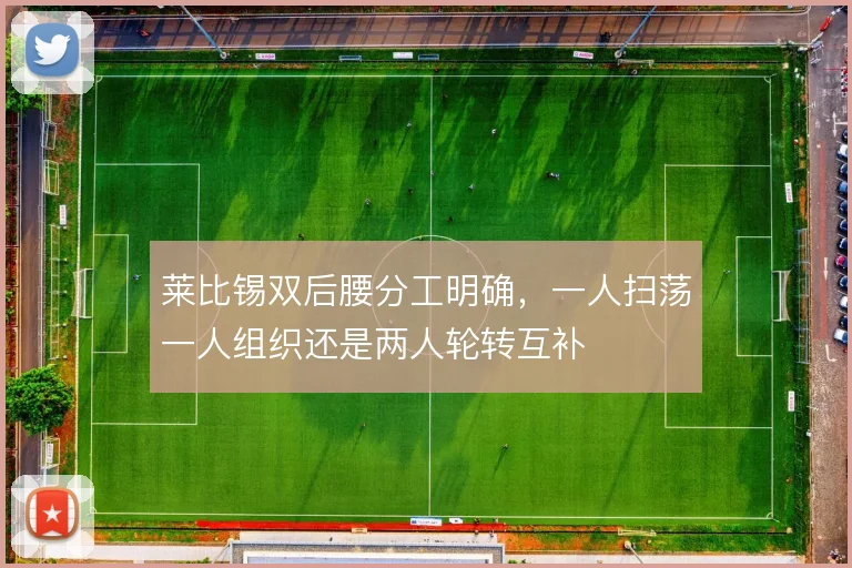 莱比锡双后腰分工明确，一人扫荡一人组织还是两人轮转互补